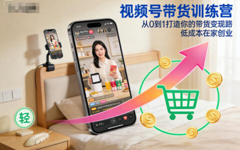 視頻號帶貨訓練營，從0到1打造你的帶貨變現路，低成本在家創業